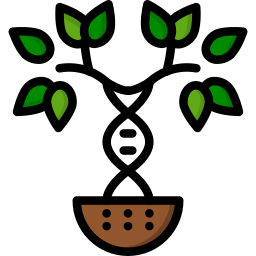 family tree icon